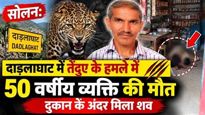 दाड़लाघाट के ग्याणा में तेंदुए का आतंक, वेल्डिंग की दुकान में काम कर रहे व्यक्ति को बनाया शिकार - पढ़ें पूरी खबर..